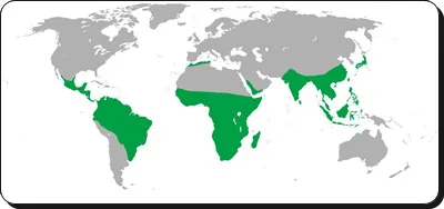 進撃の巨人のモデルの場所を考察 鰊と猿 太陽から検証も 進撃の巨人ネタバレ考察 アース 進撃の巨人のモデルの場所を考察 鰊と猿 太陽から検証も 進撃の巨人ネタバレ考察 アース