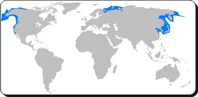 進撃の巨人のモデルの場所を考察 鰊と猿 太陽から検証も 進撃の巨人ネタバレ考察 アース 進撃の巨人のモデルの場所を考察 鰊と猿 太陽から検証も 進撃の巨人ネタバレ考察 アース