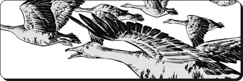 呪術廻戦ネタバレ149話 葦を啣む 弐 あらすじ感想考察 真依死亡から真希双子伏線回収が 進撃のネタバレ考察 アース