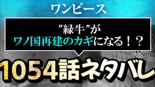 ワンピース トライアングル Miaumagazine Pt