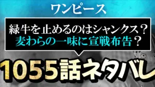 ワンピース1056話ネタバレ とうとうワノ国最終面 バギー四皇入りの理由が明らかに 進撃のネタバレ考察 アース